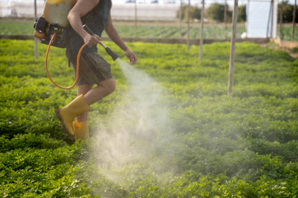Best Best Pest Control Companies  in West Valley City, UT