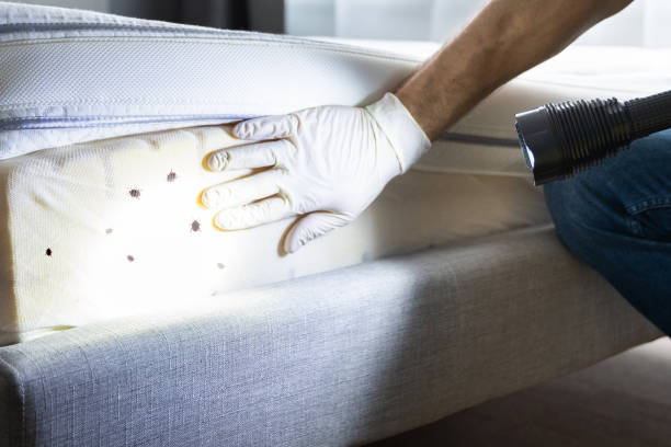 Best Best Pest Control Companies  in West Valley City, UT