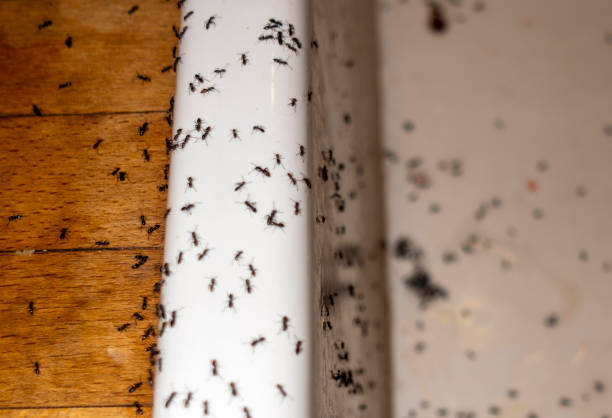 Best Wildlife Control Services  in West Valley City, UT